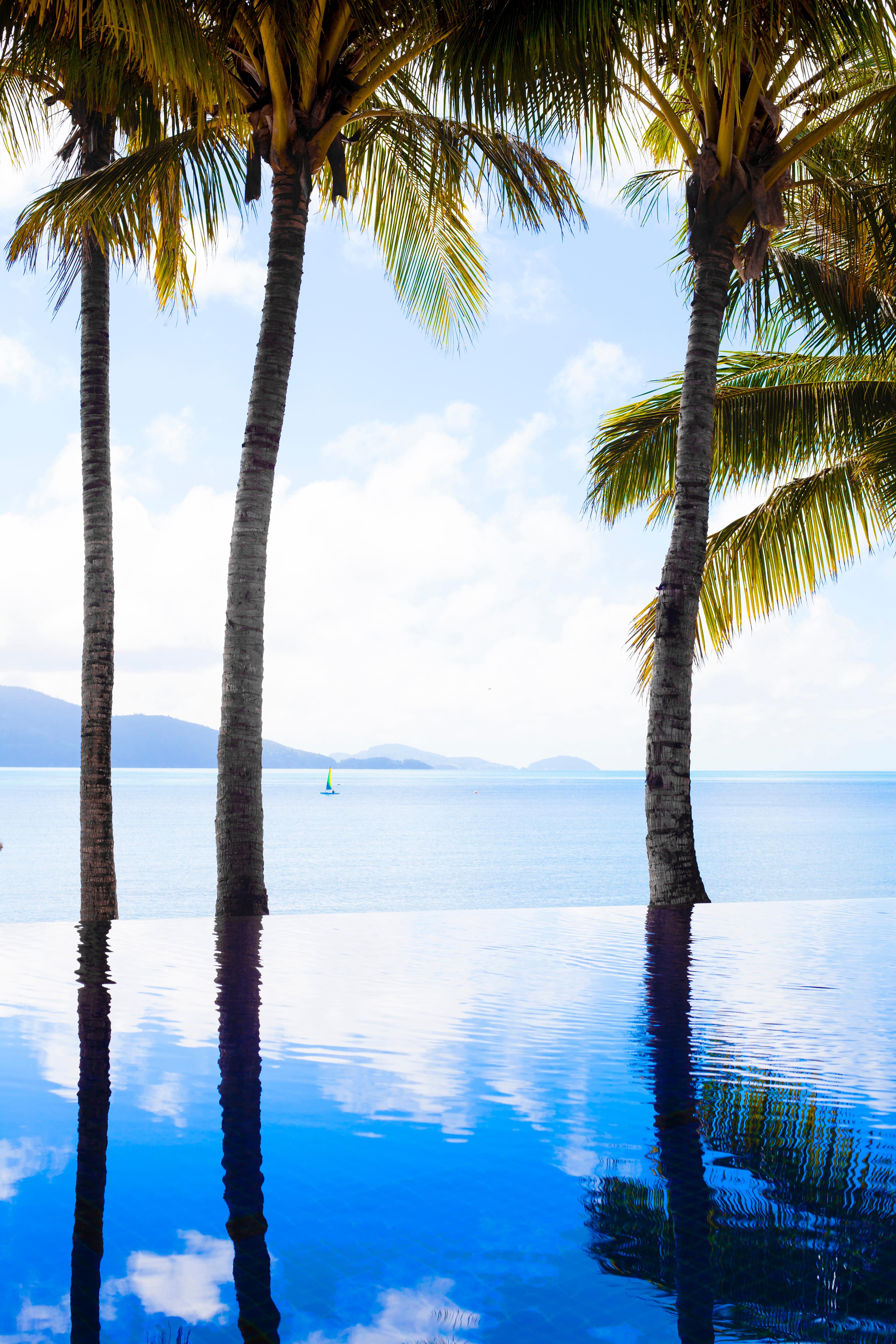 Beach Club (Adults Only) Hamilton Island Exteriör bild